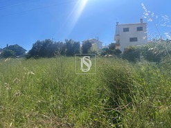 Terreno Rstico T0 - Alhandra, Vila Franca de Xira, Lisboa - Miniatura: 2/8