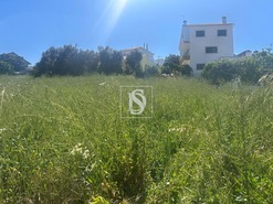 Terreno Rstico T0 - Alhandra, Vila Franca de Xira, Lisboa - Miniatura: 5/8