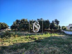 Terreno Rstico T0 - Alhandra, Vila Franca de Xira, Lisboa - Miniatura: 14/17