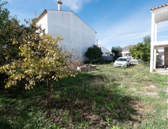 Terreno R�stico - Alpalh�o, Nisa, Portalegre - Miniatura: 3/8