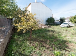 Terreno R�stico - Alpalh�o, Nisa, Portalegre - Miniatura: 4/8