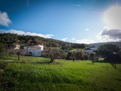 Terreno R�stico - Alhandra, Vila Franca de Xira, Lisboa - Miniatura: 5/38