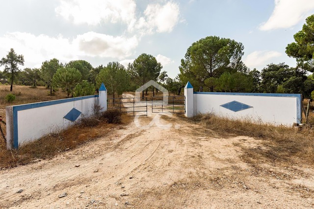 Terreno R�stico T3 - Mora, Mora, �vora - Imagem grande
