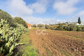 Quinta T5 - Torr�o, Alc�cer do Sal, Set�bal - Miniatura: 38/93