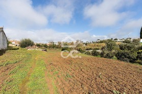 Quinta T5 - Torr�o, Alc�cer do Sal, Set�bal - Miniatura: 45/93