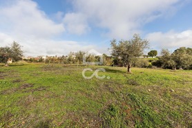 Quinta T5 - Torr�o, Alc�cer do Sal, Set�bal - Miniatura: 50/93