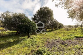 Quinta T5 - Torr�o, Alc�cer do Sal, Set�bal - Miniatura: 63/93