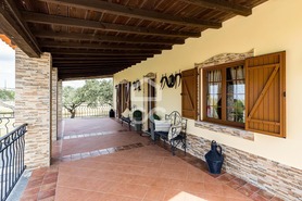 Quinta T3 - Amareleja, Moura, Beja - Miniatura: 3/68