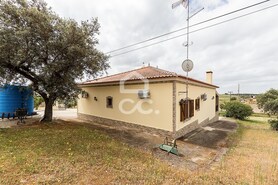 Quinta T3 - Amareleja, Moura, Beja - Miniatura: 48/68