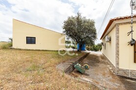 Quinta T3 - Amareleja, Moura, Beja - Miniatura: 49/68
