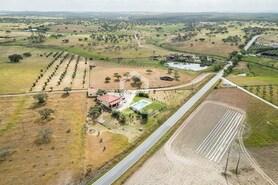 Quinta T3 - Amareleja, Moura, Beja - Miniatura: 68/68