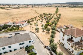 Terreno R�stico T0 - Santa Eul�lia, Elvas, Portalegre - Miniatura: 1/63