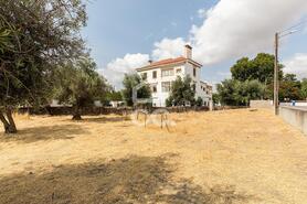 Terreno R�stico T0 - Santa Eul�lia, Elvas, Portalegre - Miniatura: 13/63