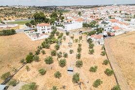 Terreno R�stico T0 - Santa Eul�lia, Elvas, Portalegre - Miniatura: 46/63