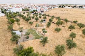 Terreno R�stico T0 - Santa Eul�lia, Elvas, Portalegre - Miniatura: 48/63