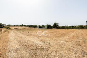 Quinta T2 - AMEIXIAL, Estremoz, �vora - Miniatura: 33/64
