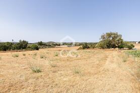 Quinta T2 - AMEIXIAL, Estremoz, �vora - Miniatura: 37/64