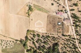 Quinta T2 - AMEIXIAL, Estremoz, �vora - Miniatura: 43/64