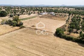 Quinta T2 - AMEIXIAL, Estremoz, �vora - Miniatura: 49/64