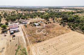 Quinta T2 - AMEIXIAL, Estremoz, �vora - Miniatura: 52/64
