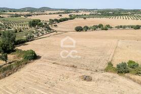 Quinta T2 - AMEIXIAL, Estremoz, �vora - Miniatura: 62/64