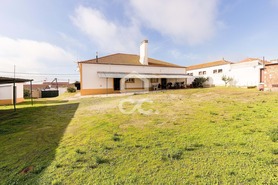 Moradia > T6 - Vila Nova da Baronia, Alvito, Beja - Miniatura: 5/59