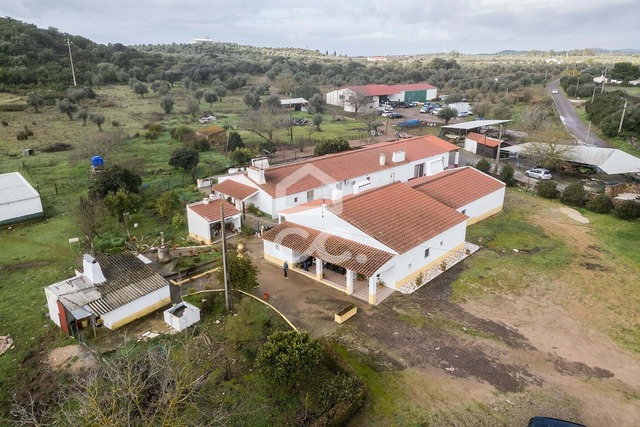 Quinta T4 - Estremoz, Estremoz, �vora - Imagem grande