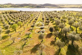 Terreno R�stico T0 - N�o Definido, N�o Definido, N�o Definido