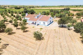 Quinta T4 - Reguengos de Monsaraz, Reguengos de Monsaraz, �vora - Miniatura: 50/62