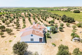 Quinta T4 - Reguengos de Monsaraz, Reguengos de Monsaraz, �vora - Miniatura: 52/62