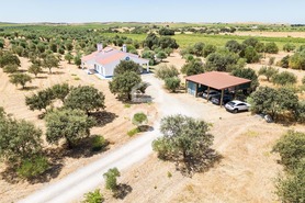 Quinta T4 - Reguengos de Monsaraz, Reguengos de Monsaraz, �vora - Miniatura: 53/62