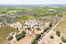 Quinta T4 - Reguengos de Monsaraz, Reguengos de Monsaraz, �vora - Miniatura: 55/62