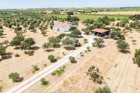 Quinta T4 - Reguengos de Monsaraz, Reguengos de Monsaraz, �vora - Miniatura: 57/62