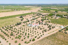 Quinta T4 - Reguengos de Monsaraz, Reguengos de Monsaraz, �vora - Miniatura: 58/62