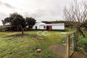 Quinta T4 - Estremoz, Estremoz, �vora - Miniatura: 41/74