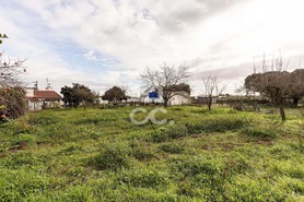 Quinta T4 - Estremoz, Estremoz, �vora - Miniatura: 47/74
