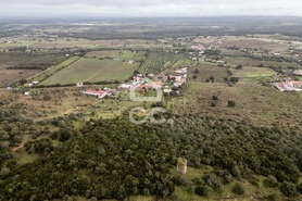 Quinta T4 - Estremoz, Estremoz, �vora - Miniatura: 64/74