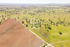 Terreno R�stico T0 - Santiago Maior, Alandroal, �vora - Miniatura: 20/70
