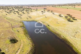 Terreno R�stico T0 - Santiago Maior, Alandroal, �vora - Miniatura: 22/70