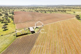 Terreno R�stico T0 - Santiago Maior, Alandroal, �vora - Miniatura: 26/70
