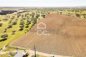 Terreno R�stico T0 - Santiago Maior, Alandroal, �vora - Miniatura: 28/70