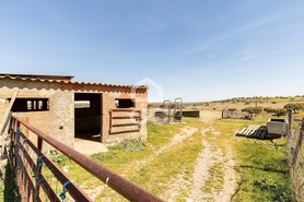 Terreno R�stico T0 - Santiago Maior, Alandroal, �vora - Miniatura: 50/70