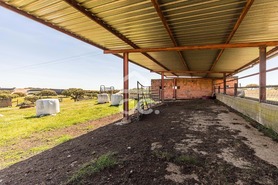 Terreno R�stico T0 - Santiago Maior, Alandroal, �vora - Miniatura: 57/70