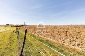 Terreno R�stico T0 - Santiago Maior, Alandroal, �vora - Miniatura: 60/70