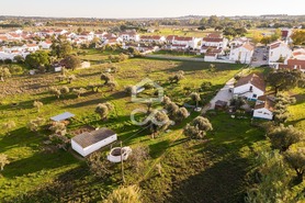 Quinta T3 - Canaviais, �vora, �vora - Miniatura: 38/42