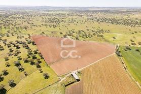 Terreno R�stico T0 - Santiago Maior, Alandroal, �vora - Miniatura: 18/70