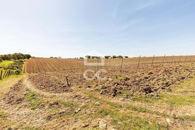 Terreno R�stico T0 - Santiago Maior, Alandroal, �vora - Miniatura: 47/70