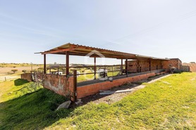 Terreno R�stico T0 - Santiago Maior, Alandroal, �vora - Miniatura: 53/70