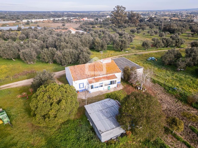 Quinta T3 - Bacelo, �vora, �vora - Imagem grande