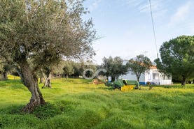 Quinta T3 - Bacelo, �vora, �vora - Miniatura: 94/94